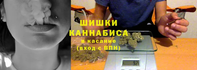 магазин  наркотиков  Кирсанов  Бошки марихуана Bruce Banner 